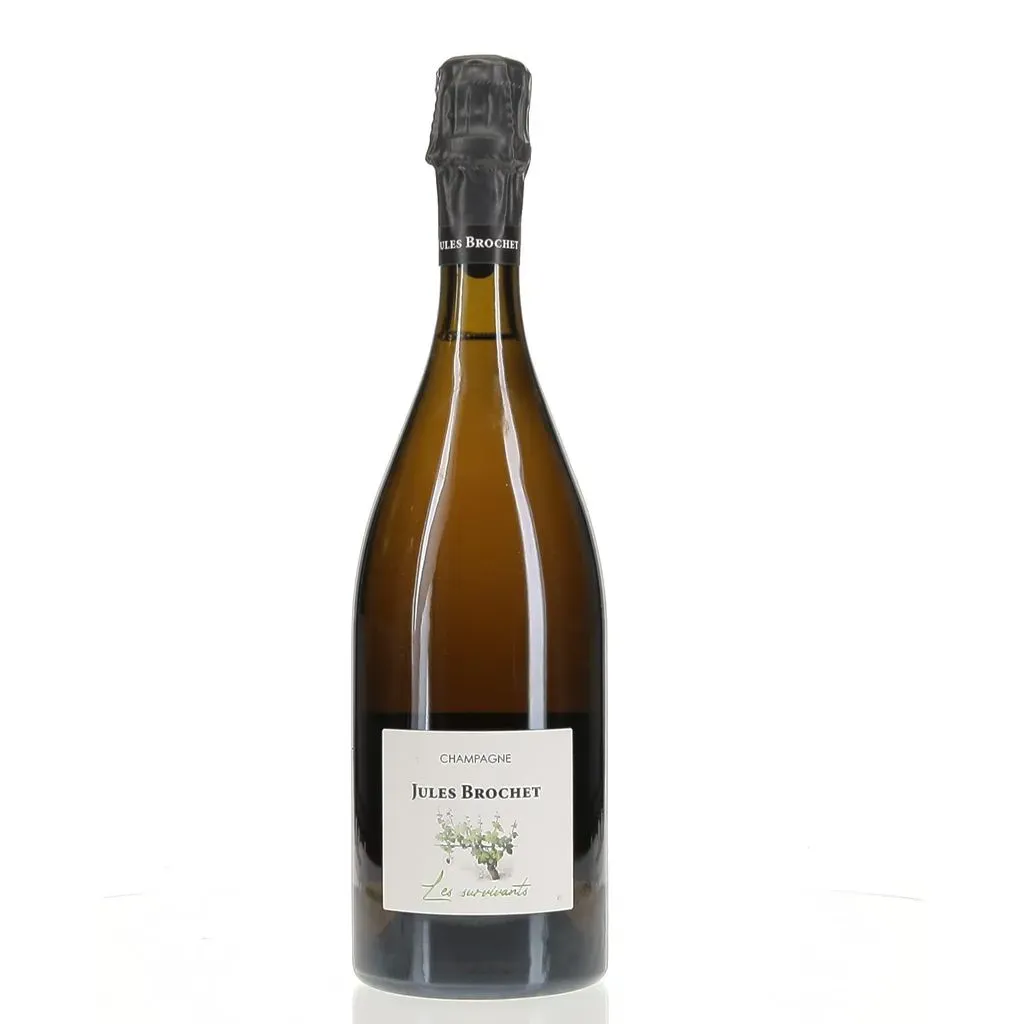 Rotating view of product